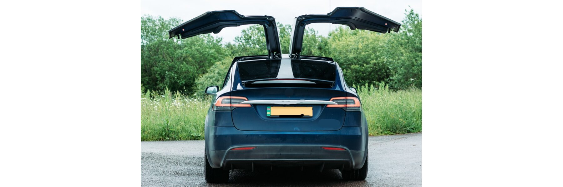Model X Hatch Model X