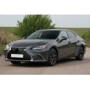 Car Shades for Lexus ES300 18-25 Rear Door Set