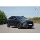Sonnenschutz für CUPRA Terramar ab BJ. 2024, Blenden hintere Türen